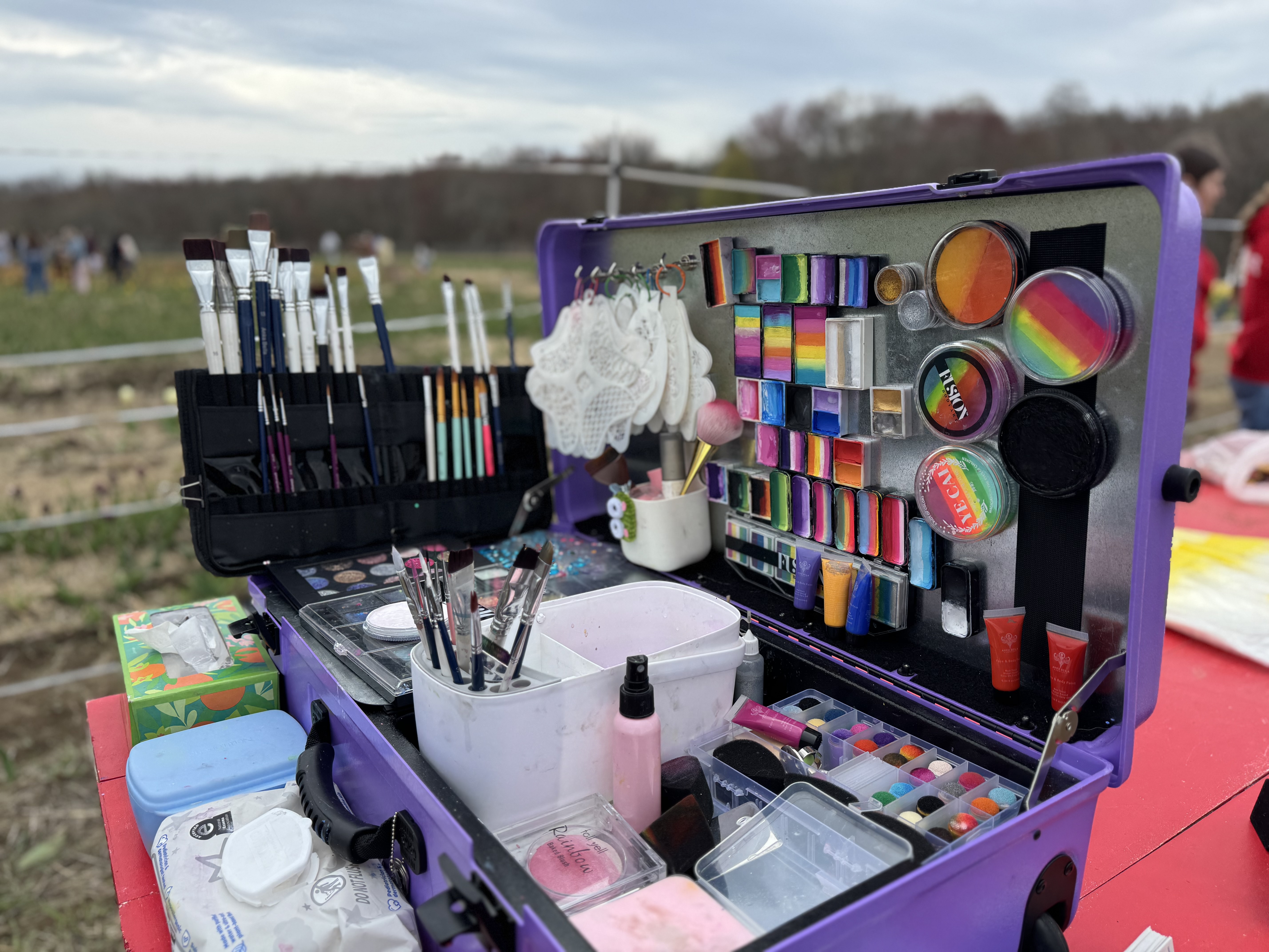 Face painting kit with brushes and colorful paints set up outdoors
